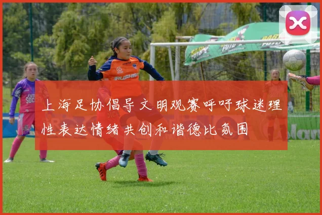 上海足协倡导文明观赛呼吁球迷理性表达情绪共创和谐德比氛围